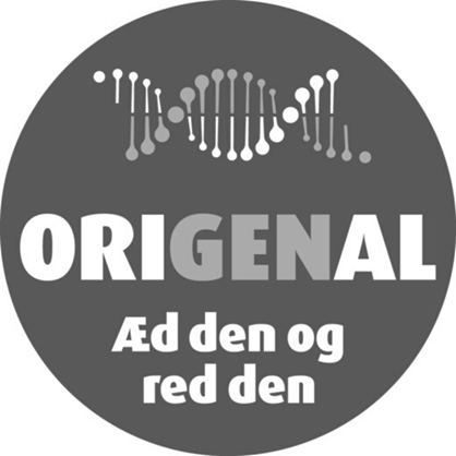 Design Uden Navn 19