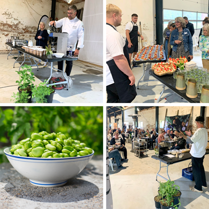 Bælgdagen Aktiviteter1