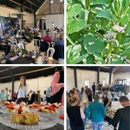 Bælgdagen Aktiviteter2