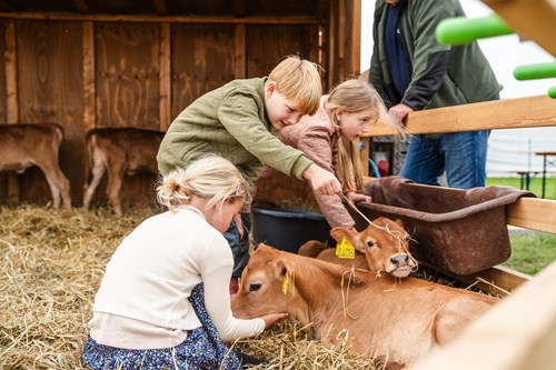 Aarhus Food Festival Dag 3 1 – All Copyrights Daniel Reumert