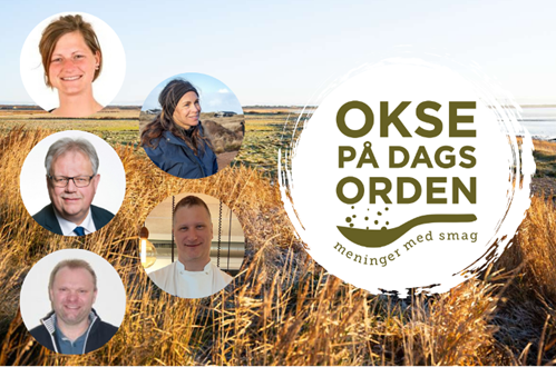 Okse LIVE Jammerbugt Niels (1)