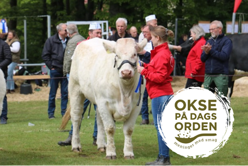 Kilde: Fjerritslev Dyrskue