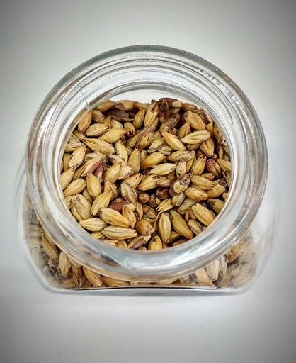 Alfcermed Cereal 4217883 1920