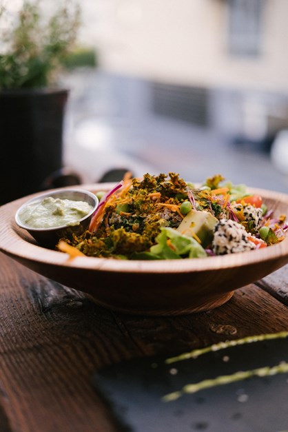 Maxfranke Vegan 4809593 1920